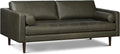 Poly & BARK Napa 88.5" Leather Sofa – Full-Grain Italian-Tanned Aniline Leather, Feather-Down Comfort, Solid Wood Frame, Walnut Legs, Olivine Green