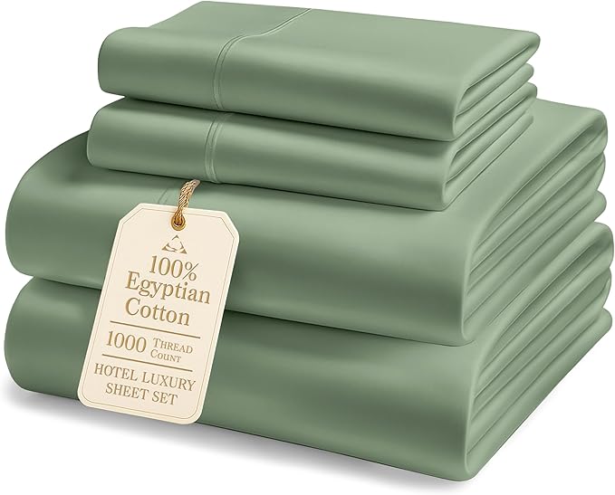 1000 Thread Count 100% Egyptian Cotton Sheets – 4 Piece Queen Sheet Set, Ultra-Soft Hotel Luxury Comfort with 15" Deep Pocket Queen Sheets, OEKO-TEX Certified, Breathable, No Pilling – Iceberg Green