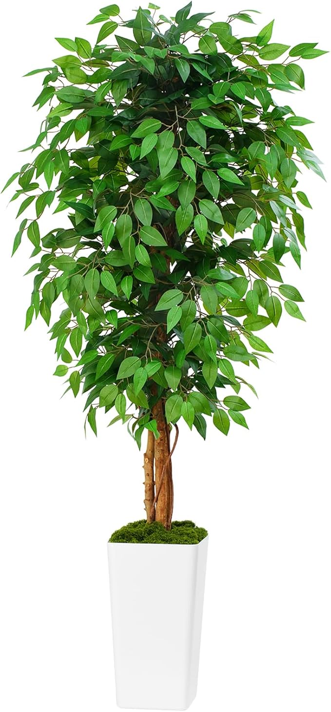 6ft Ficus Artificial Tree with 3 Natural Curved Trunks, 74" Tall Lush Faux Tree for Home Decor Indoor, Green Lifelike Fake Ficus Tree with White Planter Pot