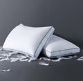 ELNIDO QUEEN Goose Feather Down Pillows Queen Size Set of 2，Luxury Hotel Collection Bed Pillows for Sleeping， Down Surrounded Pillows 2 Pack, Soft ＆ Fluffy for Side, Back Sleepers 20x30 in