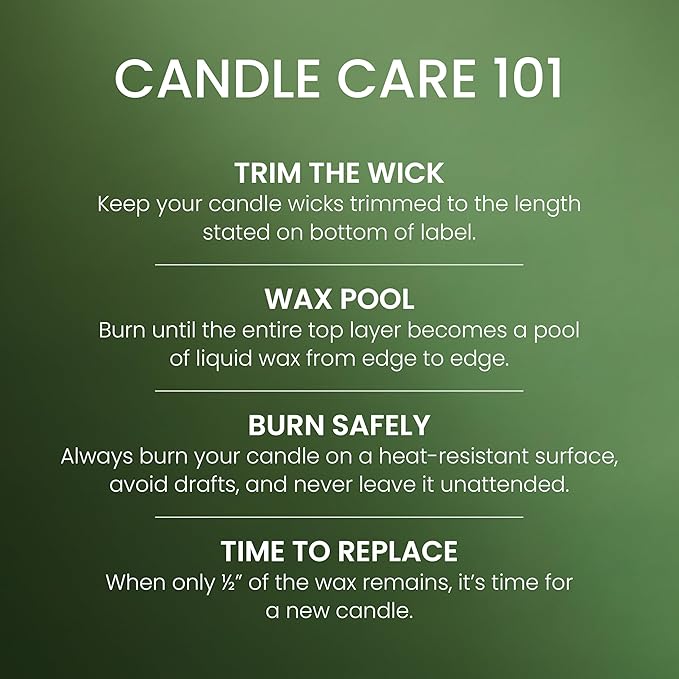 Yankee Candle Balsam and Cedar, Fall Scented Candle, 14.5oz 3-Wick Candle Jar with up to 40 Hours Burn Time, Giftable, Holiday