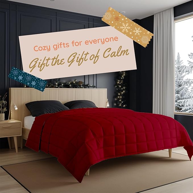 HomeSmart King Size Weighted Blanket 20 lbs, Oversized Weighted Blanket for Adults, Fits Standard and California King Beds, 104x92, Red Burgundy