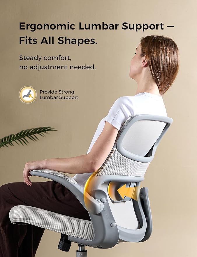 Office Chair, Mesh Ergonomic Desk Chairs, Comfy Computer Gaming Chair with Adjustable Height & Flip-up Armrest, Lumbar Support & Swivel Function for Home Office (Gray)