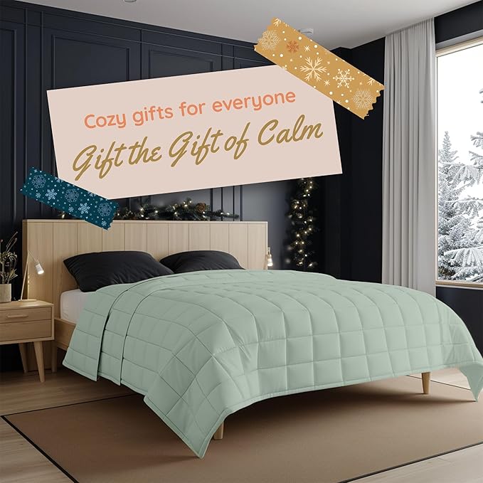 HomeSmart Weighted Blanket King Size 30lbs, Ultra Soft Fabric, Perfect for Couples, Fits Standard and California King Beds, 104x92, Sage Green