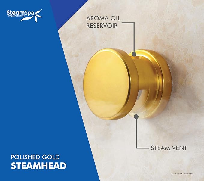 STEAMSPA 6kW Steam Sauna Generator Sentry Series 240V Steam Generator with Touch Screen, Steamhead, Built-in Steam Shower Auto Drain, ACU Quickstart Steam Bath Generator (Gold)