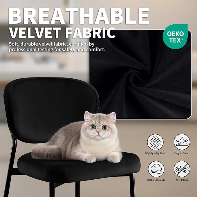 Black Dining Chairs Set of 2 Velvet Upholstered Dining Room Chairs Wide Seat Filled with 58D Memory Foam Modern Kitchen Chairs with Curved Back & Swivel Leveling Feet for Restaurant