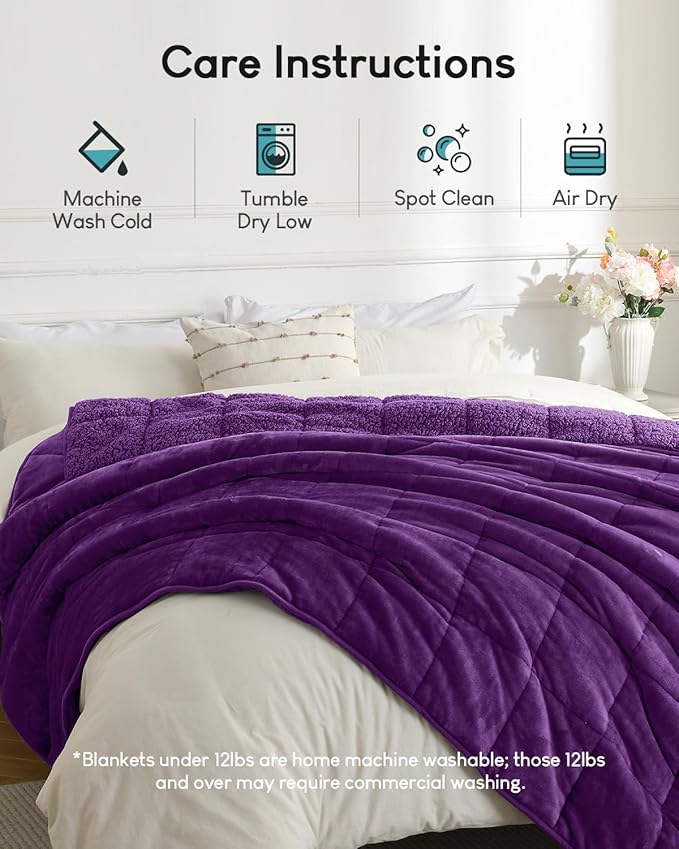 Cottonblue Weighted Blanket 15 lbs Queen Size, Flannel Shaggy Sherpa Weighted Blanket for Adults Comfortable Weighted Blankets for Calming and Relax, Bed Sofa Heavy Blankets, 60x80 inches, Purple