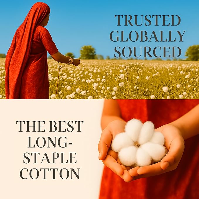 Hyde Lane Luxury 1000 Thread Count 100% Cotton Sheets | Very Soft & Thick - Fits Upto 20" Mattress | Sateen Weave Bed Sheets 18" Deep Pocket- 4 PC Sheet Set (Grey Mist, Queen)
