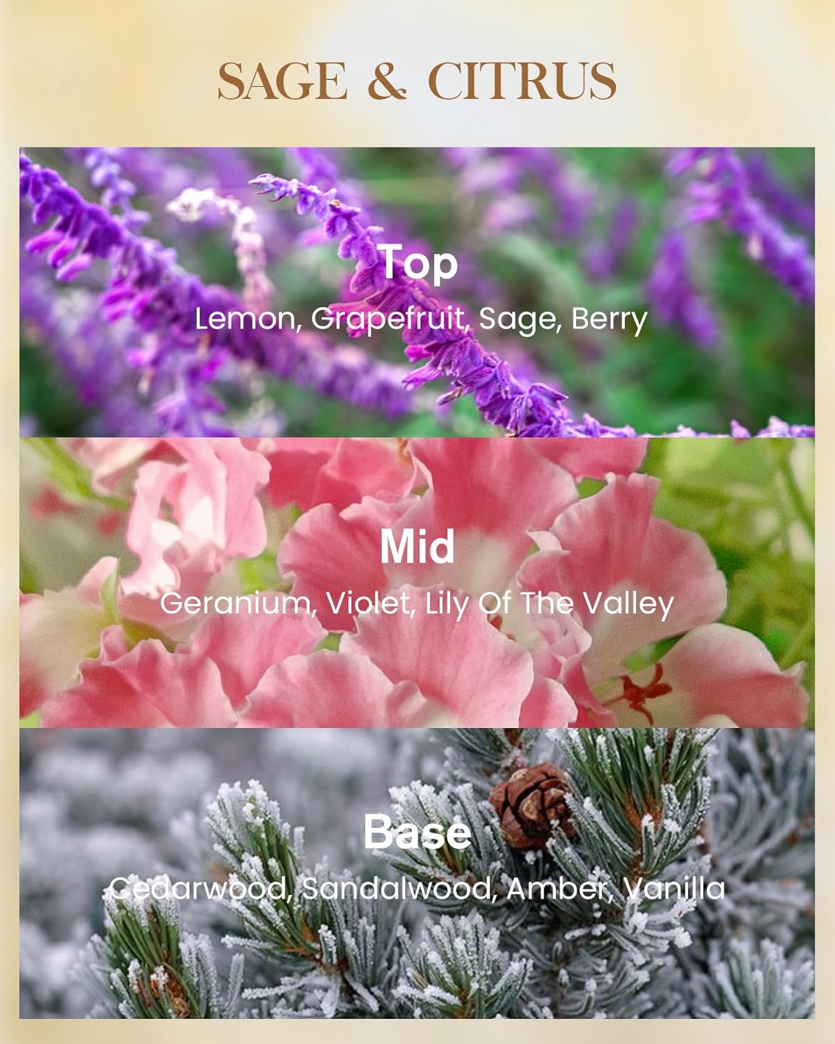 M&SENSE Extra Large Candle Sage Citrus Scented, 3-Wick 35oz 150H Long Lasting, Natural Soy Wax Aromatherapy Candle for Stress Relief, Home Fragrance Housewarming Gifts Candle for Home Decor