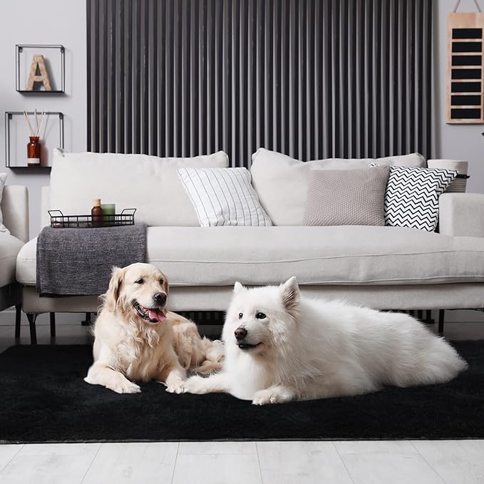 duduta Black Soft Fluffy Rug 5x8 ft, Shag Fuzzy Plush Rectangle Carpet for Bedroom Nursery Living Room Home Decor