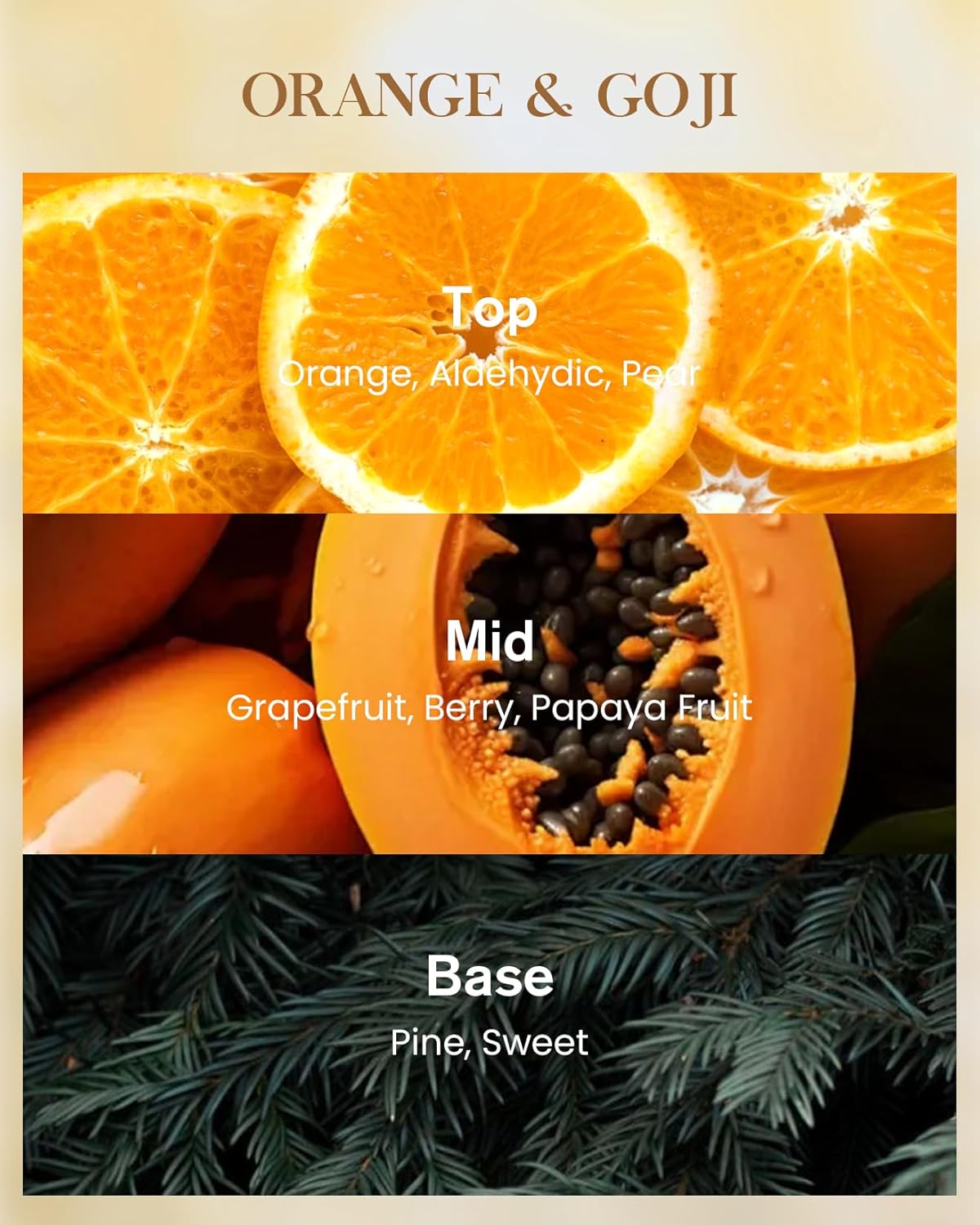 M&SENSE Orange Goji Scented Natural Soy Wax Candle, 14.1oz 60 Hours Long Lasting Slow Burning Candles for Home Decor, Aromatherapy Candle for Stress Relief