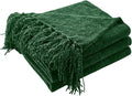 CozeCube Chenille Throw Blanket for Couch, Cozy Plush Fuzzy Decorative Christmas Green Blanket with Fringe Tassels, Lightweight Throws for Bed Sofa Gift Home Decor, 60"X80"