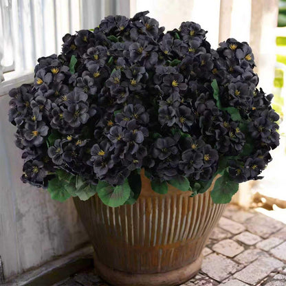Hananona 6 Bundles Artificial Geranium Flowers for Outdoors Black Silk Geranium Flowers Outdoor UV Resistant Plants Faux Black Flower for Home Kitchen Halloween Table Centerpieces Decor (6, Black)