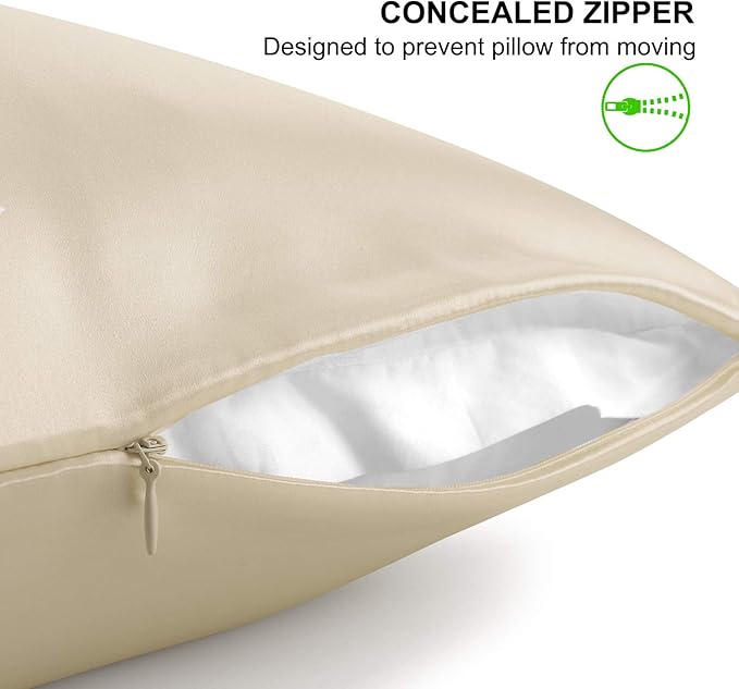 ALASKA BEAR Silk Pillowcase for Hair and Skin, Set of 2 Pure Genuine 22 Momme Mulberry Silk Pillow Cases Standard Size for Bliss Sleep Better Than Poly Satin, Zipper Closure(2pc, Beige)