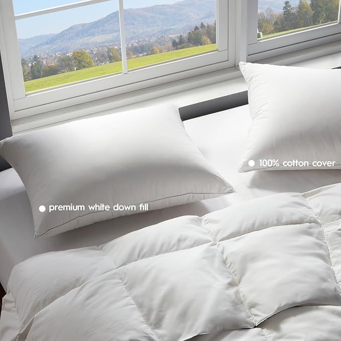 Globon Ultra Soft Down Pillow Standard Size, All Down Filled Bed Pillow for Sleeping, 100% Cotton Shell 500 Thread Count 700 Fill Power, Soft Hotel Collection Down Feather Pillow 20" x 26" 1 Pack
