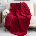 Uttermara Sherpa Fleece Weighted Blanket 12 lbs for Adult, Unicolor Ultra-Soft Fleece and Sherpa, Dual Sided Cozy Plush Blanket for Sofa Bed, 48 x 72 inches, Red