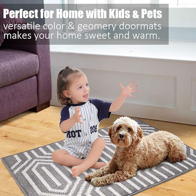 Indoor Doormat 32"x 48", Absorbent Front Back Door Mat, Rubber Backing Non Slip Floor Mats Inside Mud Dirt Trapper Outside Entrance Door Rug Carpet, Machine Washable Low Profile-Grey Time Cloister