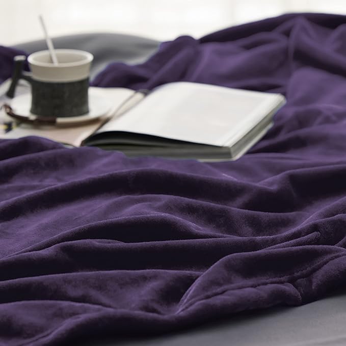 Bedsure GentleSoft Fleece Blanket Twin Size Purple - 300GSM Lightweight Plush Fuzzy Cozy Soft Warm Blanket for Bed, Sofa, Couch, Travel, Camping, 60x80 inches