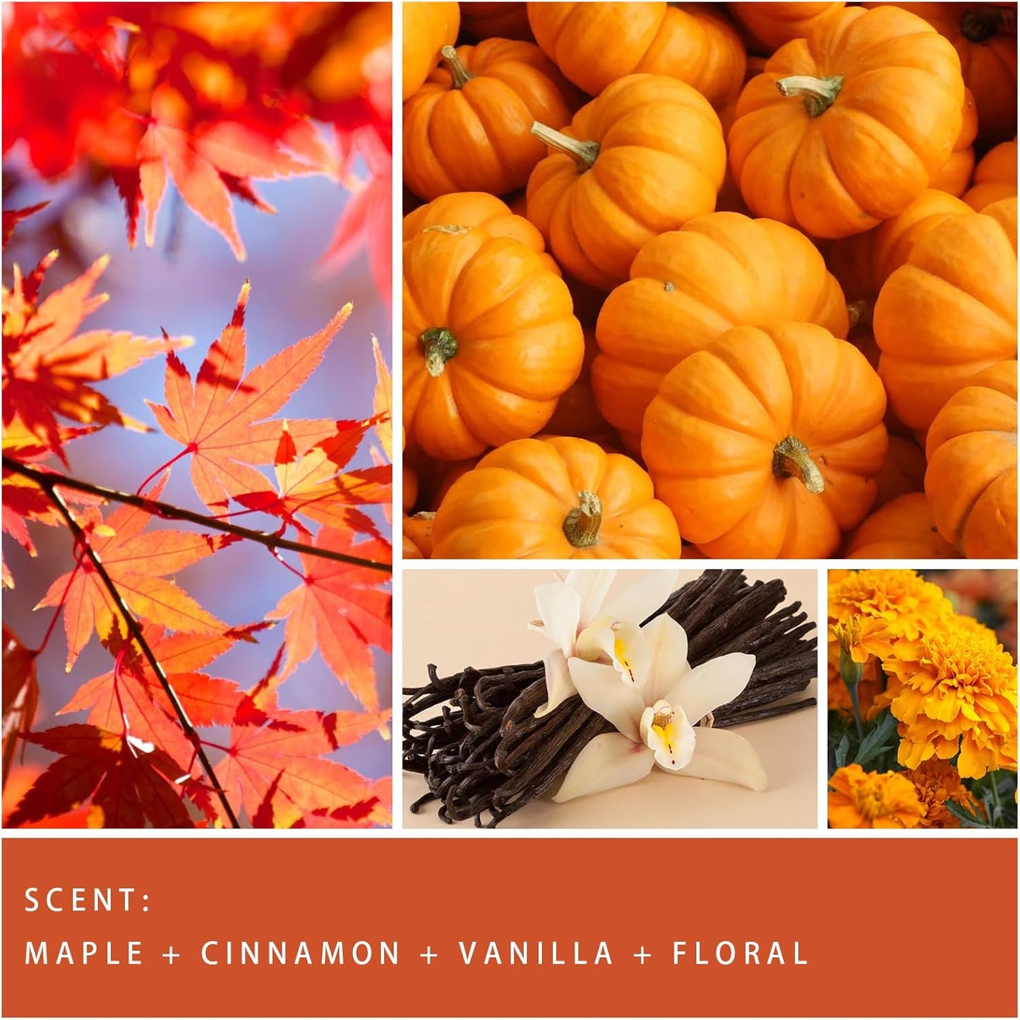 Auelife Fall Candle, Autumn Wreath Scented Soy Candles for Home, Aromatherapy Candle Gift Set for Women & Men, Cozy Fall Décor, 7oz – Perfect for Autumn Relaxation and Home Ambiance