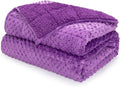 Minky Dot Weighted Blanket for Adults Queen Size 15 lbs, Warm Sherpa Snuggle Heavy Blanket for Autumn Winter with Glass Beads, Great for Stress Relief and Sleep Promotion, Purple 60 x 80 inches
