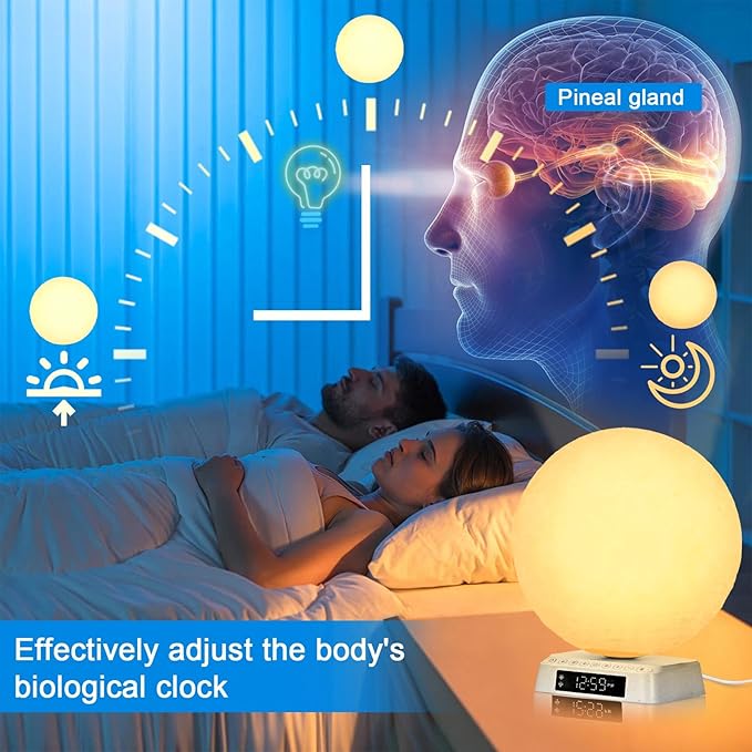 Light Alarm Clock Wake up Light Bioclock Adjustment Sunrise Alarm Clock Awakening lamp Bedside lamp Table lamp Nightstand Lamp Moon-Shaped & APP-Supported