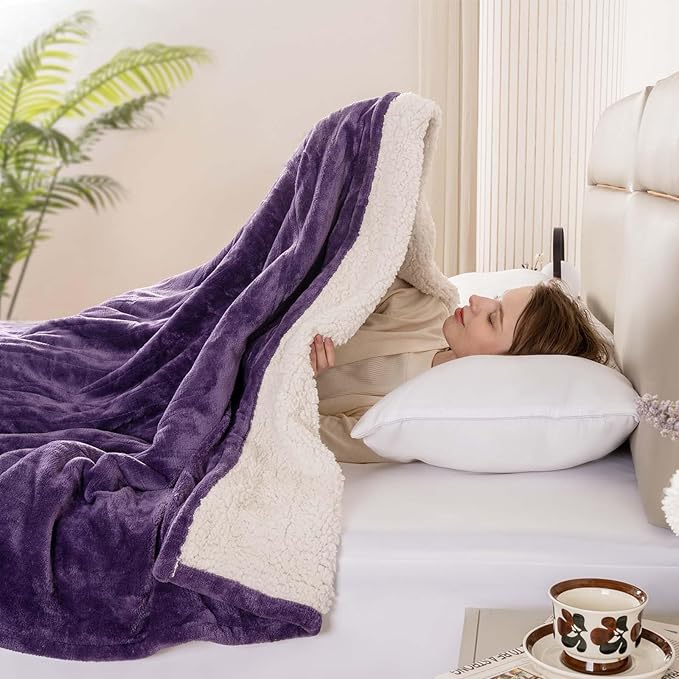 Bearhug Electric Blanket Twin Size 62" x 84", Velvet & Sherpa Purple Heated Blanket, 10 Heating Levels & 0.5-12H Auto Off, Over-Heat Protect, ETL Certification, Machine Washable, Gift Box
