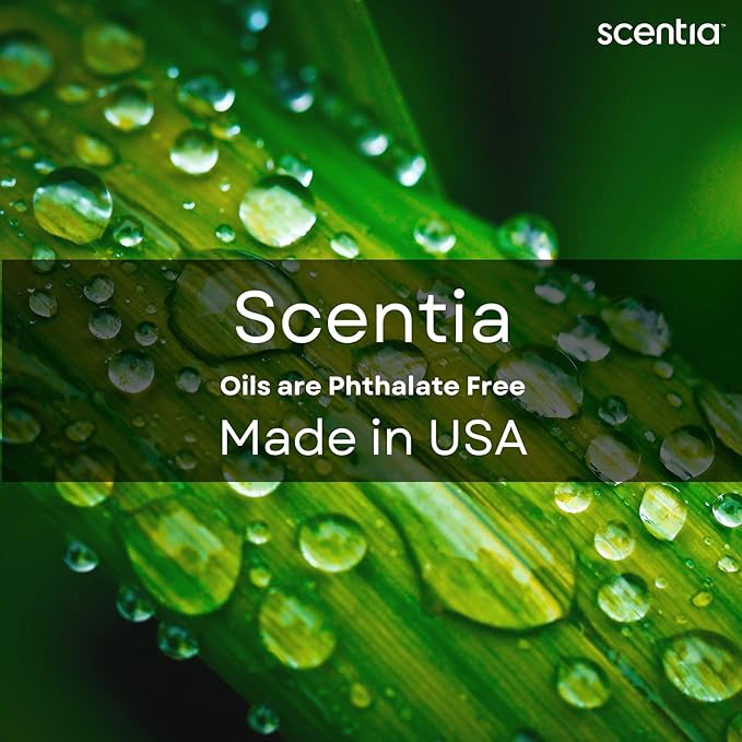 Scentia Hotel Fragrance Oil Inspired by The Hotel Costes - 120 mL 4.06 fl oz - Refill Diffuser Oil Blend Rose, Clove & Sandalwood Notes for Aromatherapy Diffusers - Paris, Thanksgiving Gift