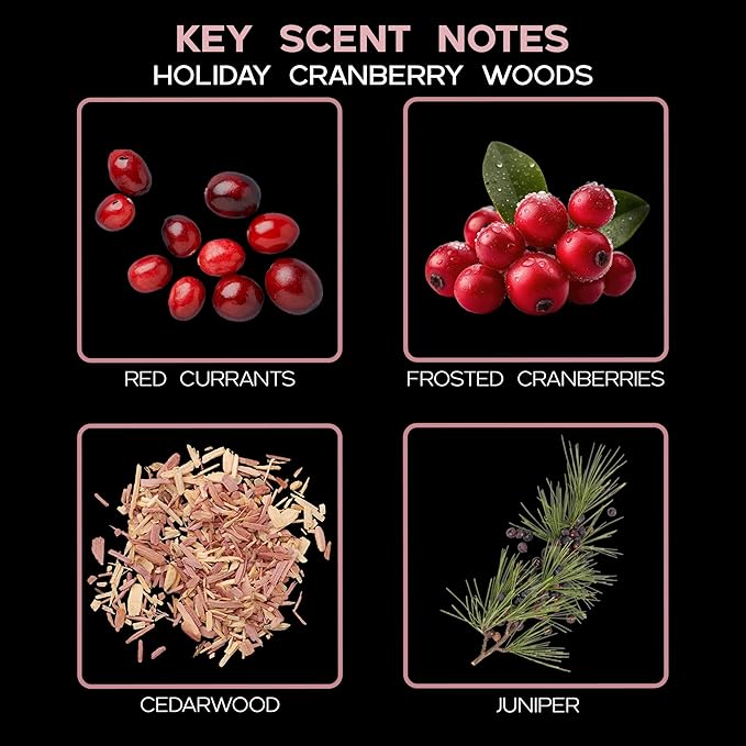 LOVSPA Reed Diffuser Set, Holiday Red Currant & Woods Scented Oil Diffuser with Sticks, Home Fragrance Accessories for Bathroom Shelf Decor, Aroma Diffusers for Home or Office Desk, USA Made