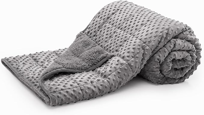Minky Dot Weighted Blanket for Adults Queen Size 15 lbs, Soft Cozy Heavy Blanket for Stress Relief and Sleep Promotion, Warm Blanket for Autumn Winter with Glass Beads, Grey 60 x 80 inches