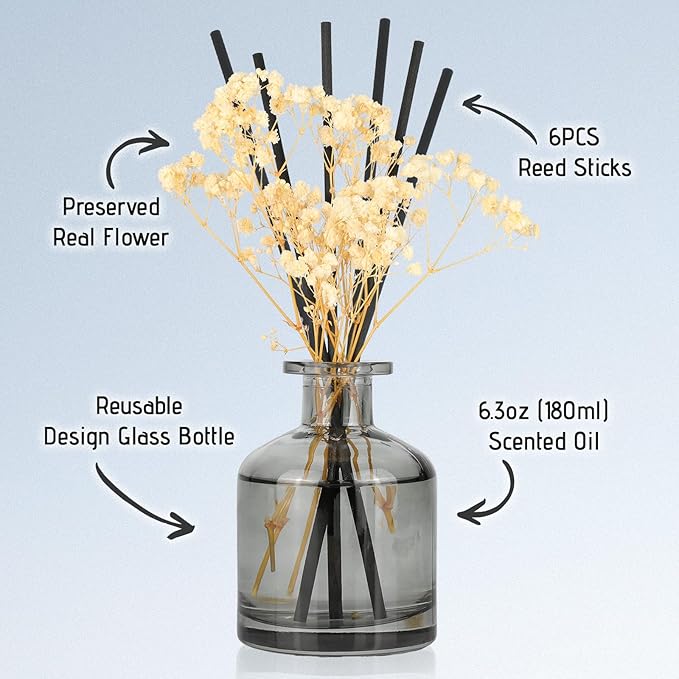 Brakula Reed Diffuser Set, 6.09 fl oz (180 ml)- White Jasmine with 8 Reed Sticks, Home Fragrance Reed Diffuser for Bathroom Shelf Decor