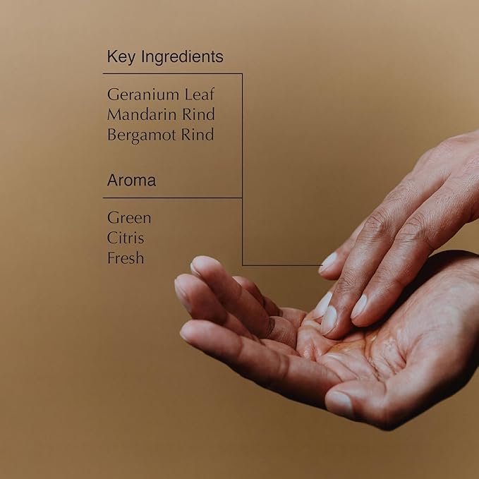 Aesop Geranium Leaf Body Cleanser Refill | Invigorating Gentle Cleansing Gel | Green, Citrus, Fresh | 16.9 fl oz