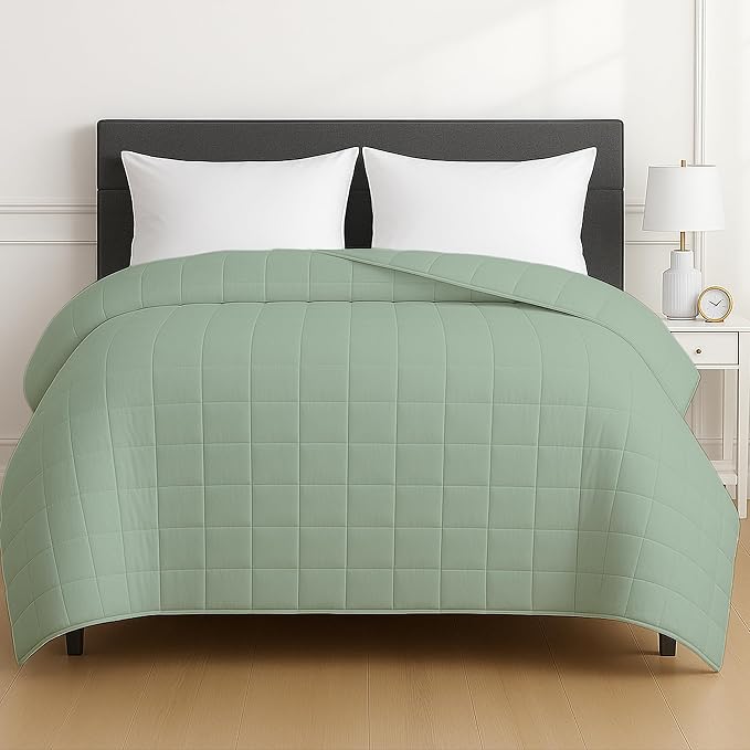HomeSmart Products Weighted Blanket Queen Size 20lbs, Breathable, Hypoallergenic Soft Fabric, Heavy Weighted Blanket Green Sage