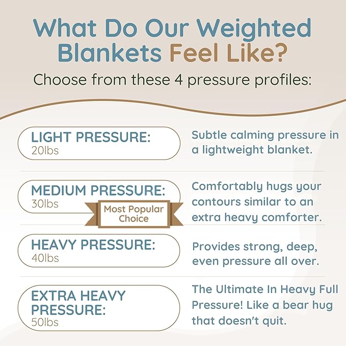 HomeSmart 50lbs Weighted Blanket Queen Size – Heavy Pressure, Ultra Soft Hypoallergenic Fabric – The Heaviest Weighted Blanket, 92x88, Grey