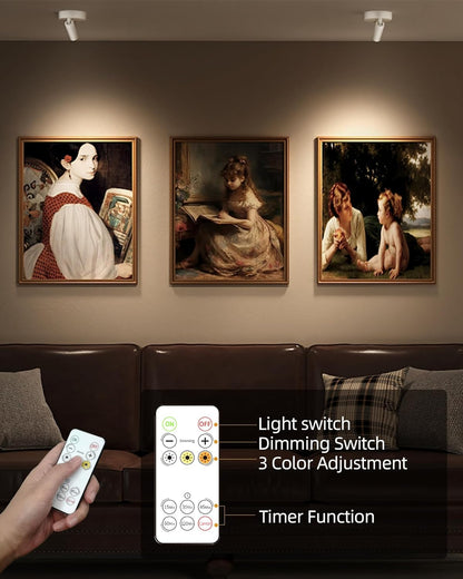 EZVALO Spot Lights Indoor,5500mAh Rechargeable Picture Lights with Remote,Wireless Mini Art Accent Spot Lights with Timer＆Dimmable, 3CCT, Uplights Indoor for Plants,Display,Artwork(2Pack-White)