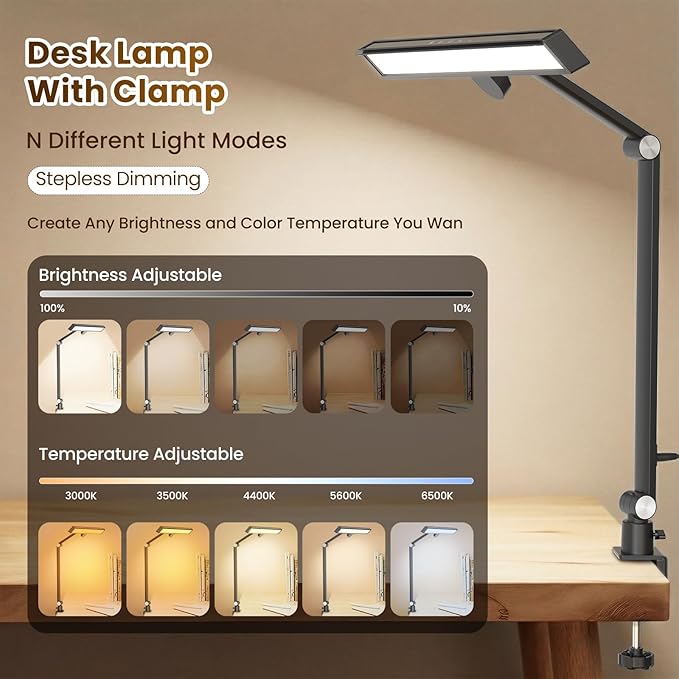 LIONVISON Desk Lamps for Home Office: 2 in 1 Eye-Caring Modern LED Desk Lamp for Worker - 5 Color Temperature 10 Brightness Computer Light - Memory & Timer Func Desk Light for Student, Seniors
