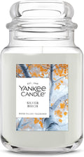 Yankee Candle, Silver Birch Fall Scented Candle, 22oz Large Jar with up to 150 Hour Burn Time