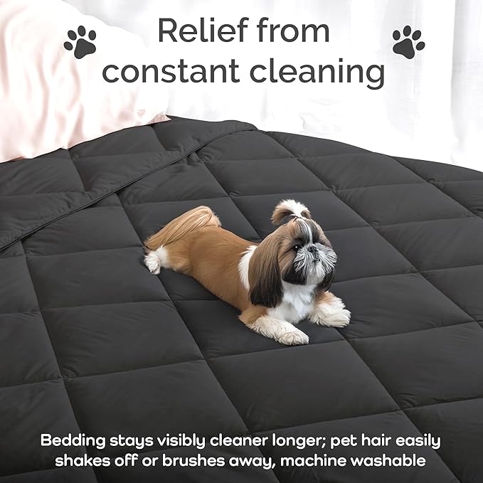 100% Viscose Derived from Bamboo Comforter, Cooling Comforter, Duvet Insert, Breathable, Extra Fluffy, Lightweight Comforters, Charcoal - Oversized King