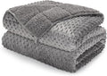 Minky Dot Weighted Blanket for Adults Twin Size 15 lbs, Soft Cozy Heavy Blanket for Stress Relief and Sleep Promotion, Warm Blanket for Autumn Winter with Glass Beads, Grey 48 x 72 inches