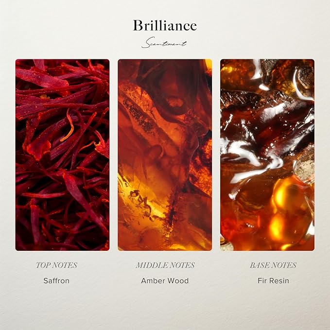 Scentiment Designer Diffuser Oil Discovery Kit – Top 3 Luxury-Inspired Scents | Aromatherapy Fragrance Oils for Home & Office | Long-Lasting & Elegant Scent (3 x 20ml)