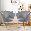 Accent Chairs Set of 2, Velvet Vanity Chair with Back, Mid-Century Modern Small Accent Chair for Living Room, Golden Metal Legs Upholstered Makeup Chair, Bedroom Armchair, Grey
