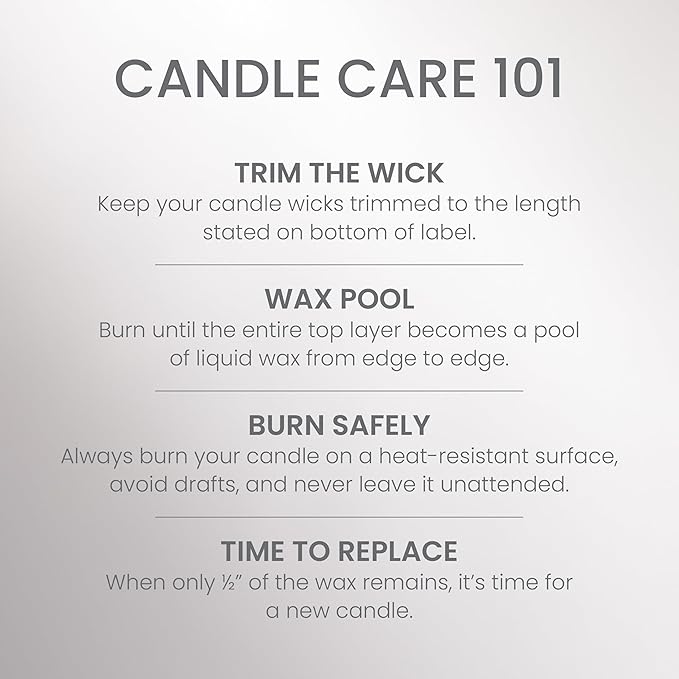 Yankee Candle, Silver Birch Fall Scented Candle, 22oz Large Jar with up to 150 Hour Burn Time