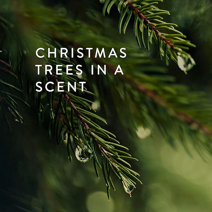 Thymes Frasier Fir Scented Candles for Home Decor – Green Heritage Holiday Candle – Notes of Siberian Fir Needles, Cedarwood & Sandalwood – Luxury Home Fragrance Gifts for Women & Men (4-Wick, 21 oz)