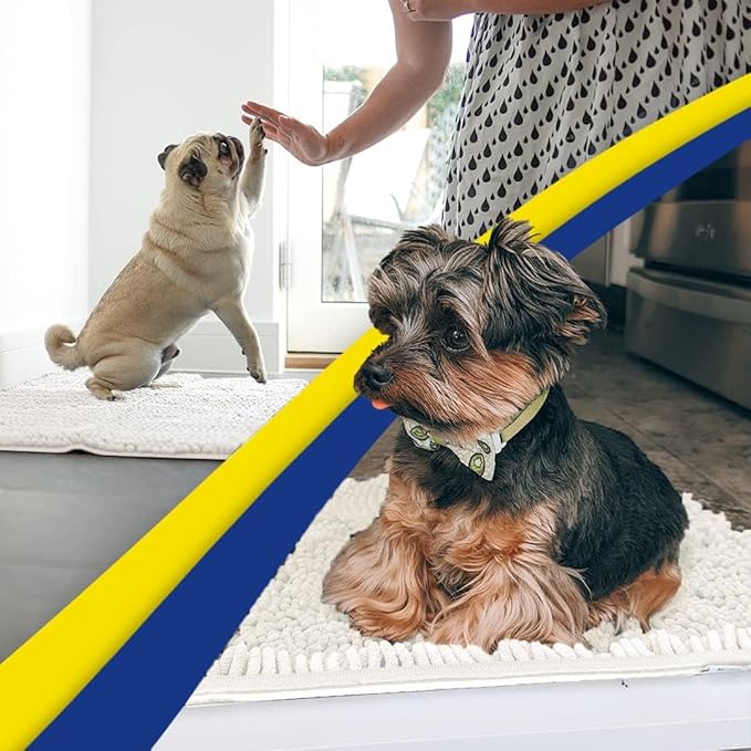 Muddy Mat® | Super Absorbent Door Mat Indoor, Microfiber Quick Dry Chenille Entryway Rug, Non-Slip Front Door Mat, Indoor Mats for Entryway, Machine Washable Pet Rug, White 36"x60"