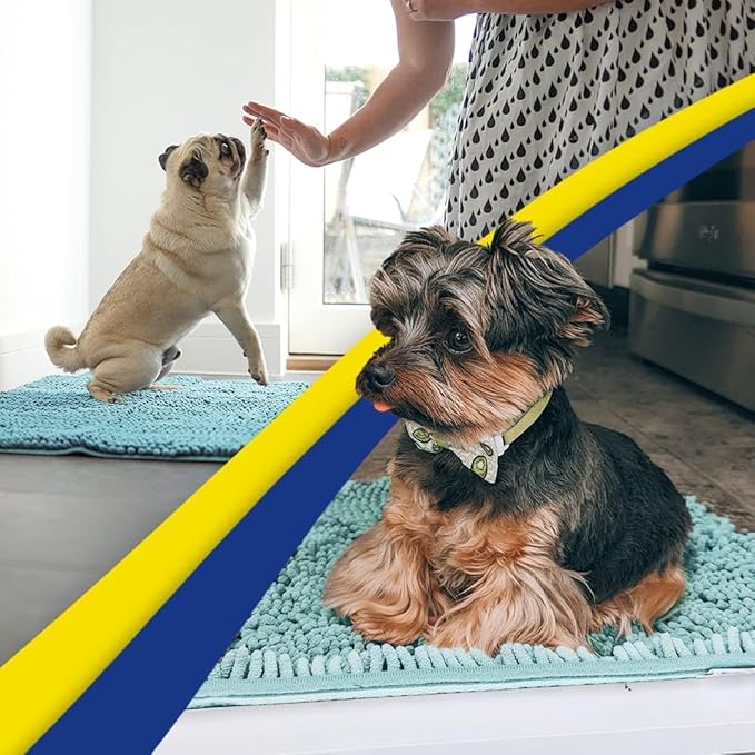 Muddy Mat® Original Dog Door Mat for Muddy Paws, Super Absorbent Microfiber, Non-Slip Washable Pet Rug, Quick Dry Chenille Entryway Carpet, Machine Washable Indoor Outdoor mat, Seafoam Green 48"x60"