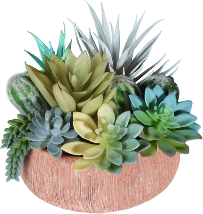 Premium Assorted Artificial Succulent Collection - Large Real Touch Artificial Cactus, Aloe Vera & Succulent Plants Artificial with Pots for Home Office Indoor (Artificial Coconut Shell - Pot)