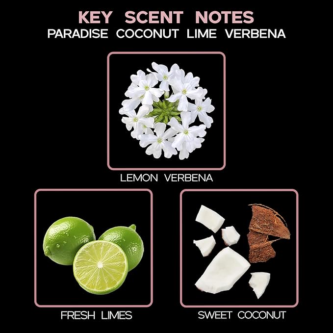 LOVSPA Reed Diffuser Set, Paradise Coconut Lime Verbena Scented Oil Diffuser with Sticks, Home Fragrance Accessories for Bathroom Shelf Decor, Aroma Diffusers for Home or Office Desk, USA Made