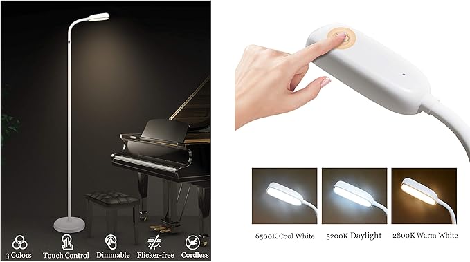 KOZIS Cordless Rechargeable Type-C FlexLamp | 2-in-1 Desk Floor Customizable | 3 Colors Adjustable Gooseneck | Stepless Dimming | Lamp for Piano Craft Bedroom Office Study Reading Camping