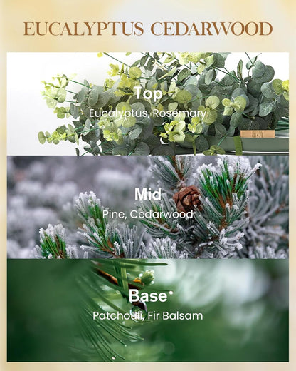 M&SENSE Eucalyptus Cedarwood Scented Natural Soy Wax Candle, 14.1oz 60 Hours Long Lasting Slow Burning Candles for Home Decor, Aromatherapy Candle for Stress Relief