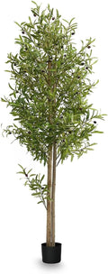 Maia Shop 71in Artificial Olive Tree Plant for House, Apartment or Office – Realistic Fake Indoor Plants for Living Room, Kitchen, Bedroom, Entryway or Bathroom – Faux Greenery for Home Décor