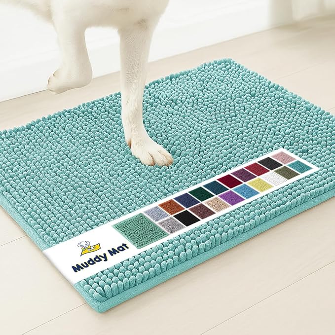 Muddy Mat® | Super Absorbent Door Mat Indoor, Microfiber Quick Dry Chenille Entryway Rug, Non-Slip Front Door Mat, Indoor Mats for Entryway, Machine Washable Pet Rug, Sea Green 24"x36"